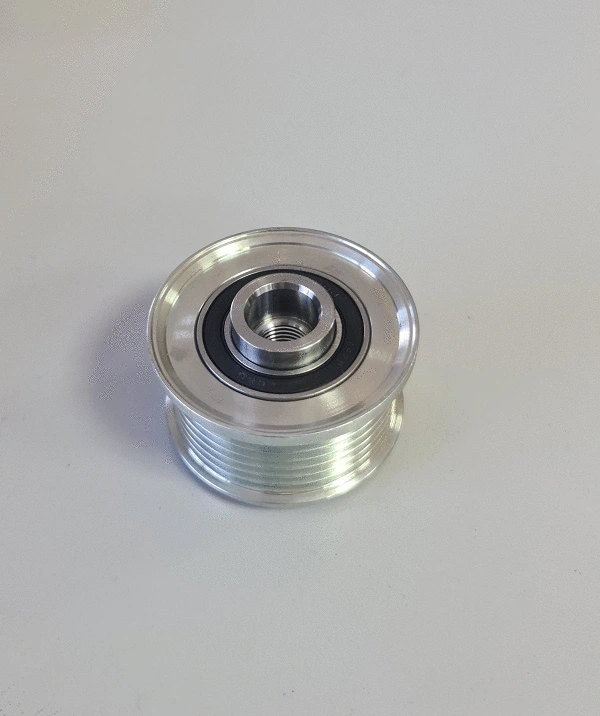 Alternator Freewheel Clutch (TA30500)