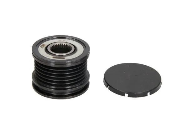 Alternator Freewheel Clutch (TA24503)