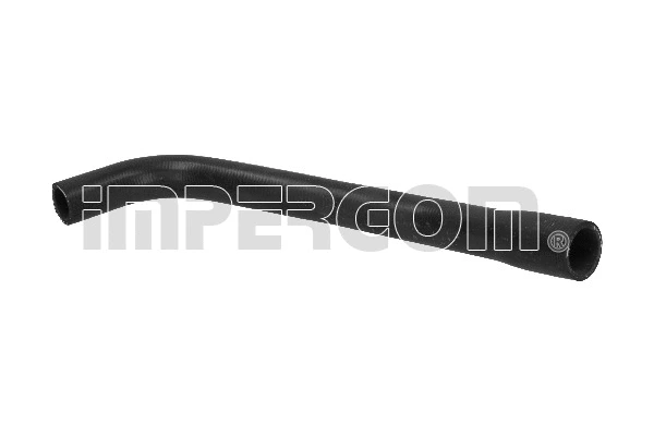 Radiator Hose (220411)