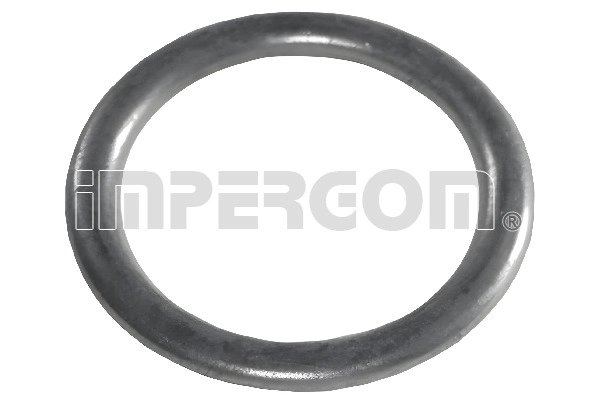 Seal Ring, oil drain plug (610335)