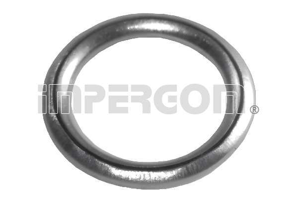 Seal Ring, oil drain plug (610334)