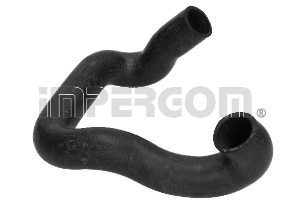 Radiator Hose (220862)