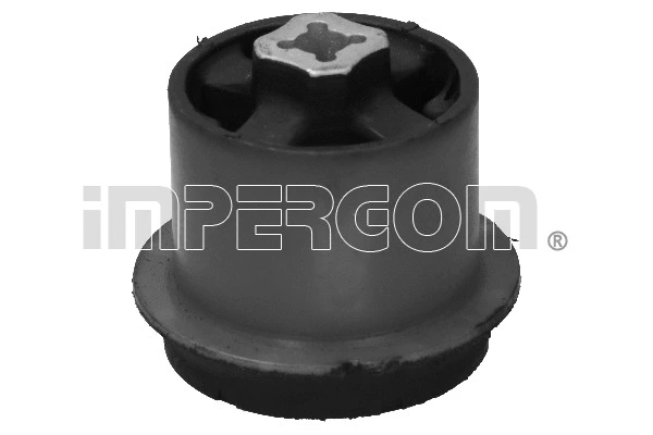 Bushing, axle beam (34298)