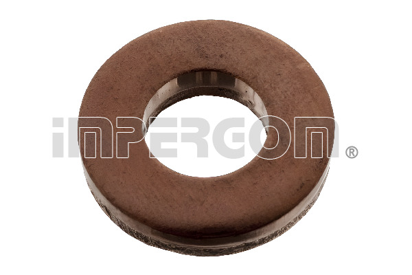 Seal Ring, injector (610332)