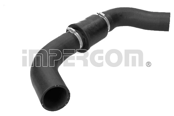 Charge Air Hose (224161)