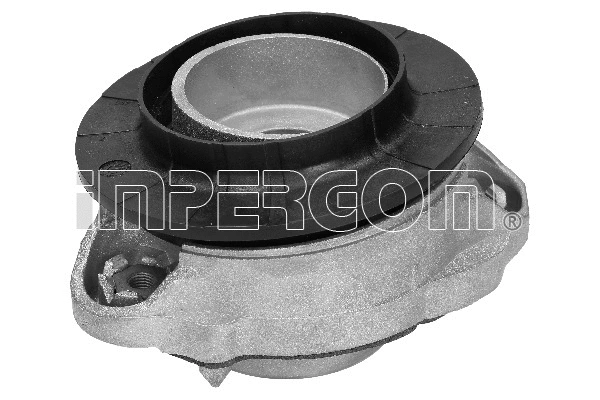 Repair Kit, suspension strut support mount (29171)