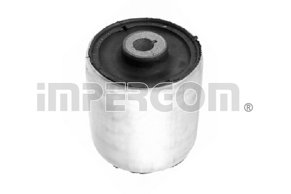 Mounting, control/trailing arm (1249)