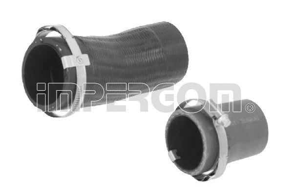 Charge Air Hose (225099)