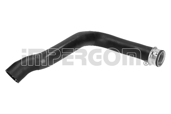 Radiator Hose (222549)