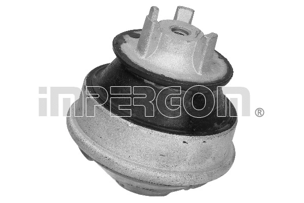 Mounting, engine (31876)