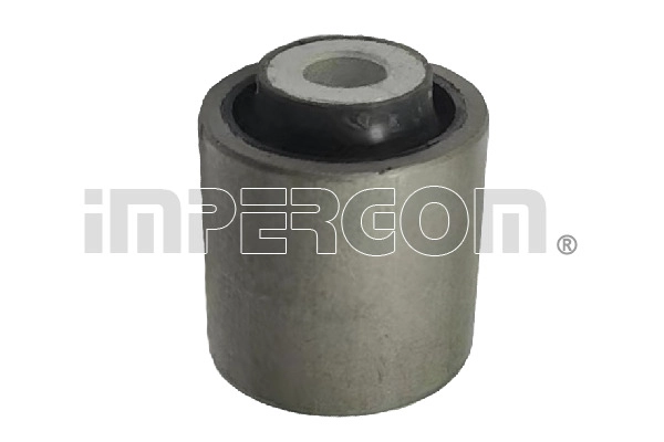 Mounting, control/trailing arm (700031)