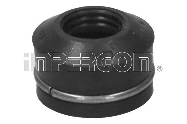 Seal Ring, valve stem (31812)