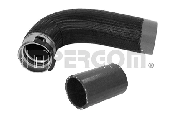 Charge Air Hose (224529)