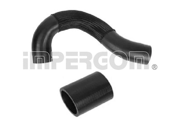 Charge Air Hose (225796)
