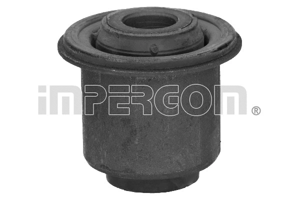 Mounting, control/trailing arm (1889)