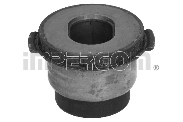 Bushing, axle beam (32912)