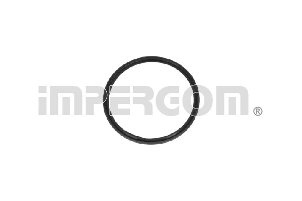 Seal Ring, charge air hose (20297)