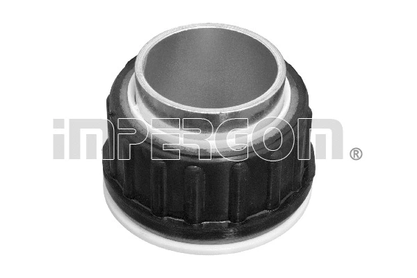 Mounting, control/trailing arm (1272)