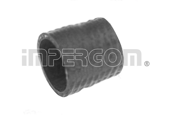 Radiator Hose (222552)
