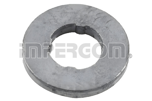 Heat Shield, injection system (610330)