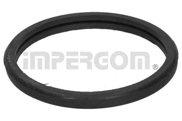 Seal, thermostat (27056)