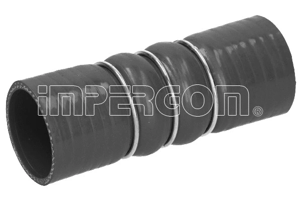 Charge Air Hose (19195)