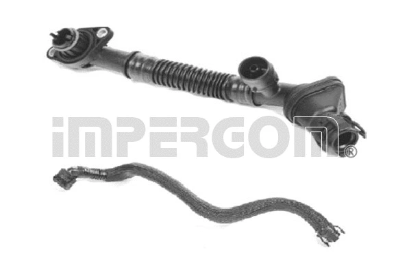 Repair Kit, crankcase ventilation (4867)