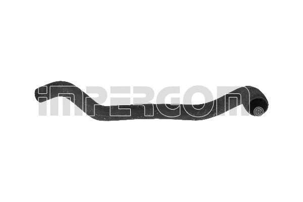 Radiator Hose (220582)