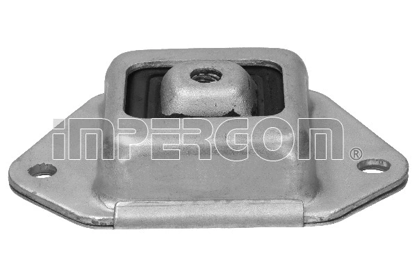 Bushing, axle beam (36425)