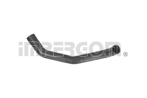 Charge Air Hose (220579)