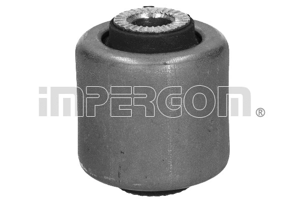 Mounting, control/trailing arm (1365)