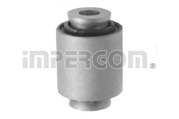 Mounting, control/trailing arm (1289)