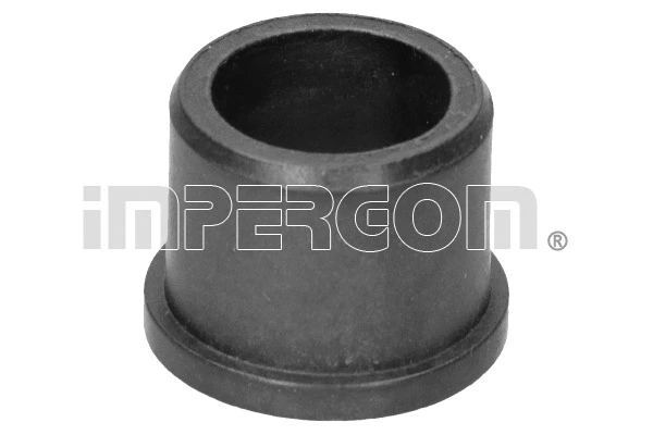 Bushing, selector/shift rod (26504)
