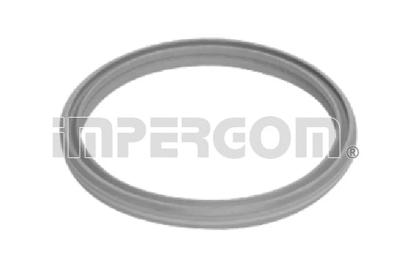 Seal Ring, charge air hose (20285)