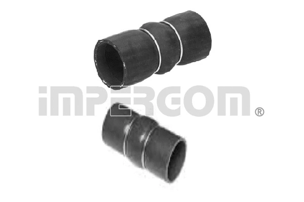 Charge Air Hose (224818)