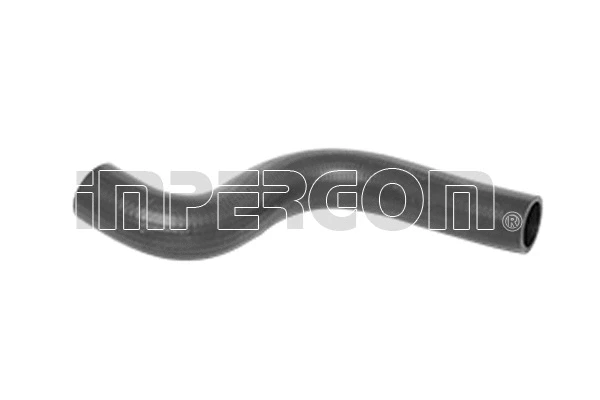 Radiator Hose (223681)