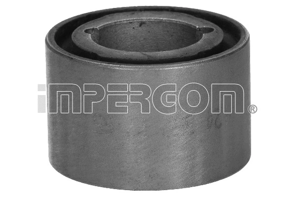 Bushing, axle beam (31889)