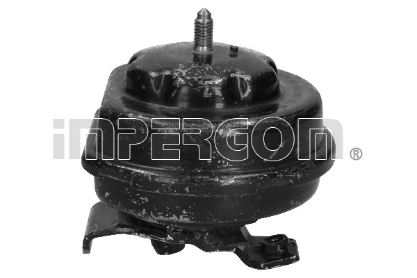 Mounting, engine (30221)