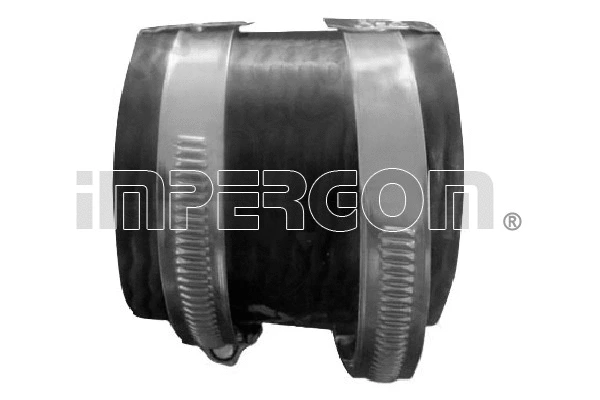 Charge Air Hose (225810)