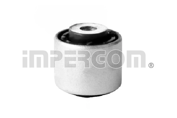 Mounting, control/trailing arm (1243)