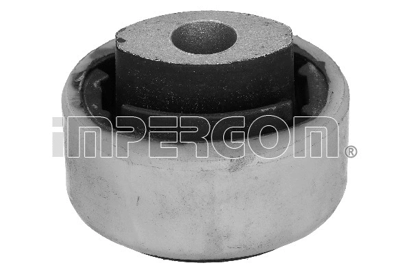 Mounting, control/trailing arm (1979)