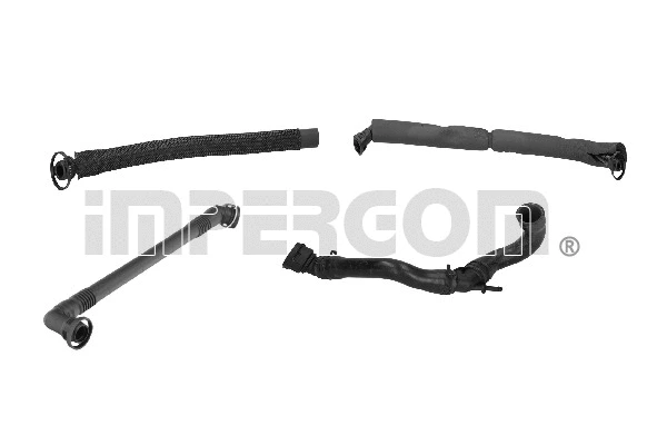 Repair Kit, crankcase ventilation (225935)