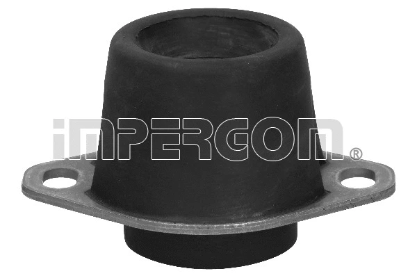 Mounting, manual transmission (31129)