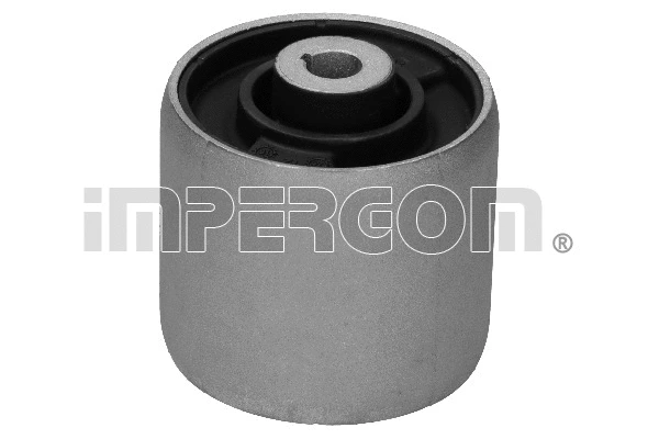 Mounting, control/trailing arm (1309)
