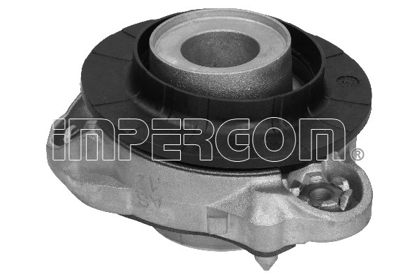 Repair Kit, suspension strut support mount (29184)