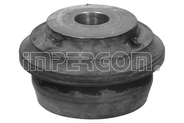 Mounting, control/trailing arm (31870)