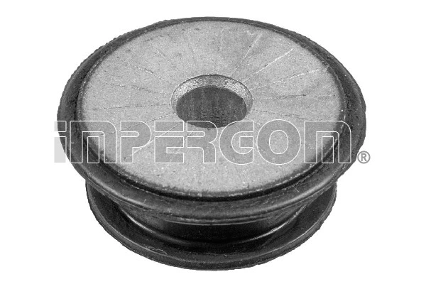 Bushing, axle beam (34966)
