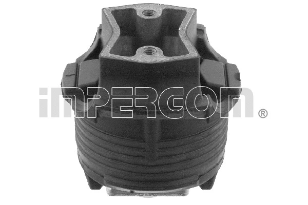 Bushing, axle beam (34894)
