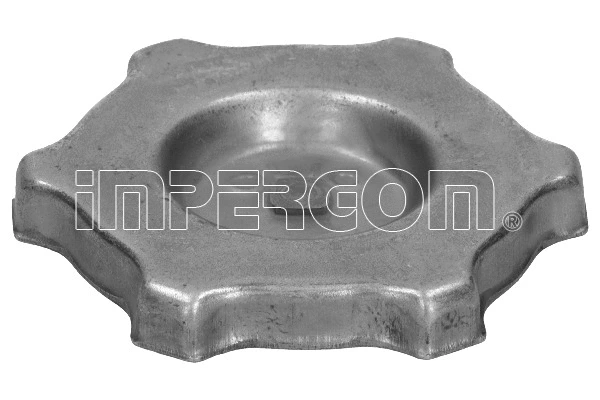 Sealing Cap, oil filler neck (29625)