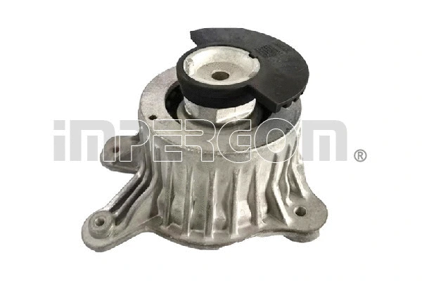 Mounting, engine (610025)